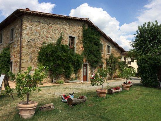 Agriturismo Relais Poggio Primo Borro Bagian luar foto